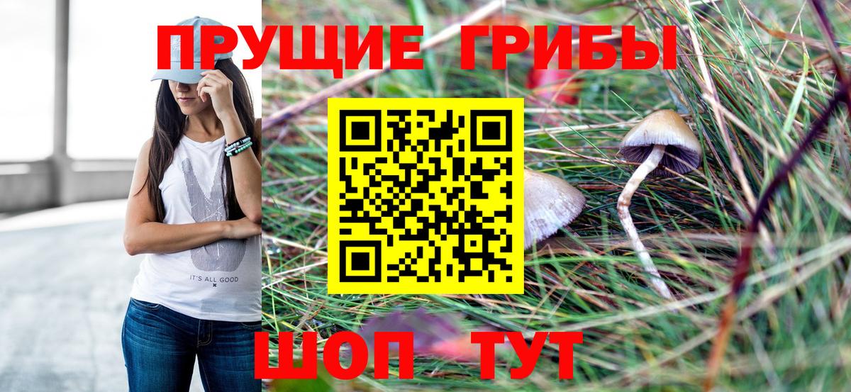 Псилоцибиновые грибы ЛСД Великий Новгород